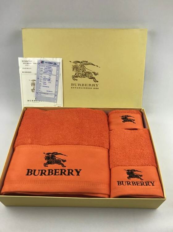 Burberry Towel ID:20230218-7
